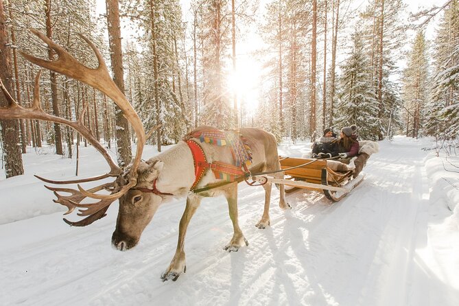 Reindeer Sleigh Ride and Farm Experience from Rovaniemi - The sleigh ride through snowy forest