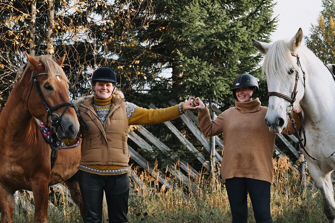 Riding Tour with Finnhorses at Santa Claus Village - Why this short ride works at Santa Claus Village