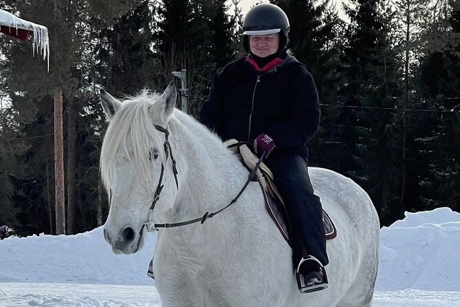 Riding Tour with Finnhorses at Santa Claus Village - What Finnhorses add to the experience