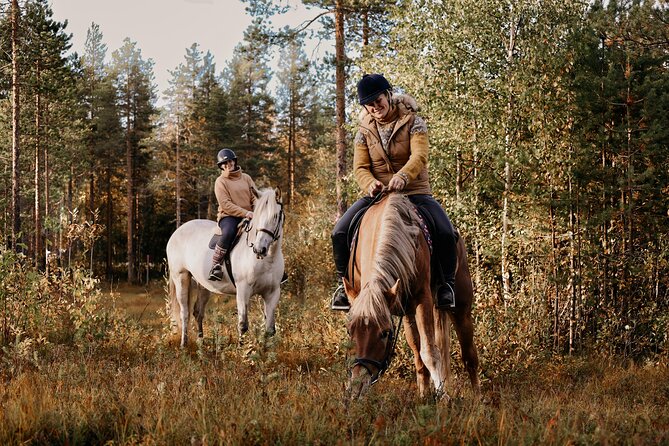 Riding Tour with Finnhorses at Santa Claus Village - Who should book this ride?