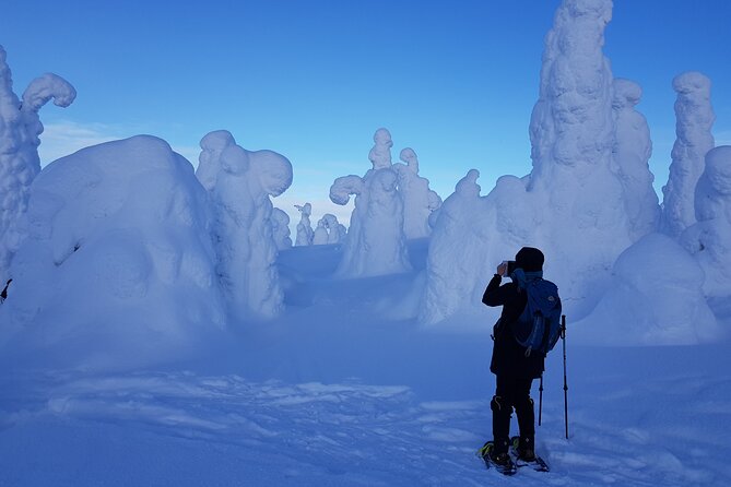 Riisitunturi National Park Snowshoe Experience - Key points to know before you book