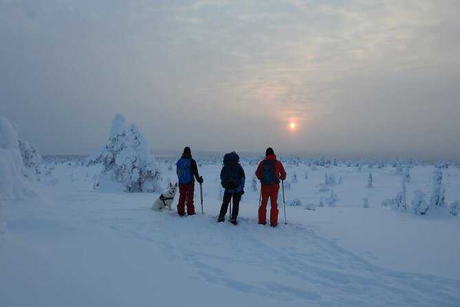 Riisitunturi National Park Snowshoe Experience - Starting at the parking lot