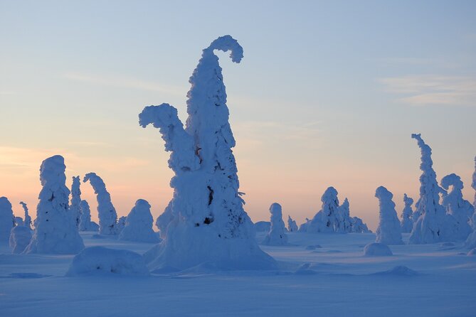 Riisitunturi National Park Snowshoe Experience - Four hours in the national park
