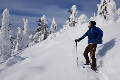 Riisitunturi National Park Snowshoe Experience