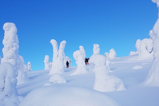 Riisitunturi National Park Snowshoe Experience - Campfire lunch and wildberry warmth