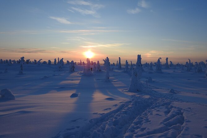 Riisitunturi National Park Snowshoe Experience - Is $254.89 good value?