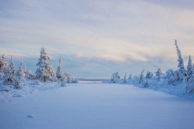 Riisitunturi wilderness adventure - Who will enjoy this most?