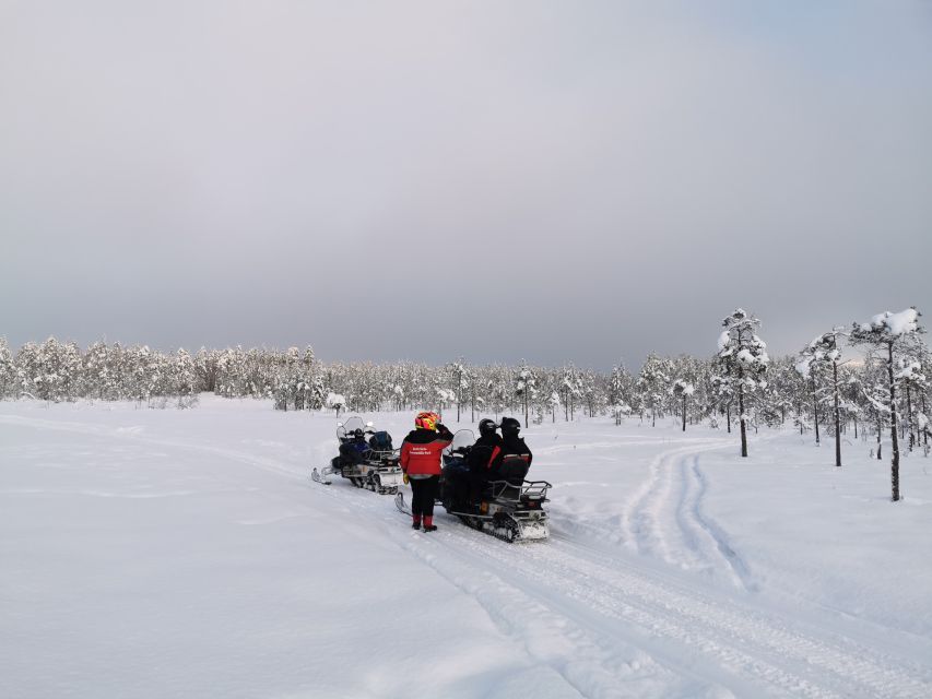 Rovaniemi: 3-Hour Snowmobile Safari in Lapland - Practical booking advice for Rovaniemi