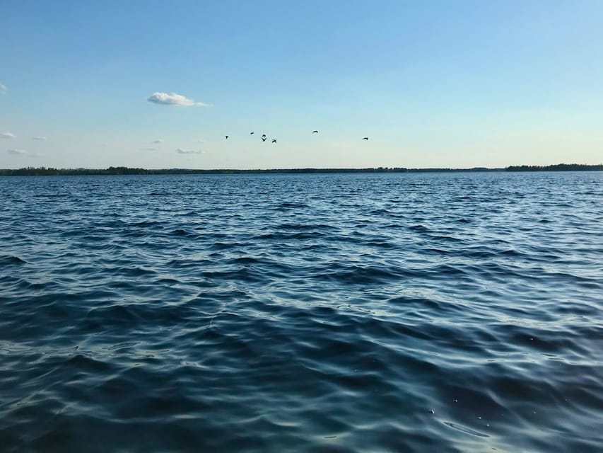 Rovaniemi: All-Day Canoe Adventure - What the weather means for your comfort