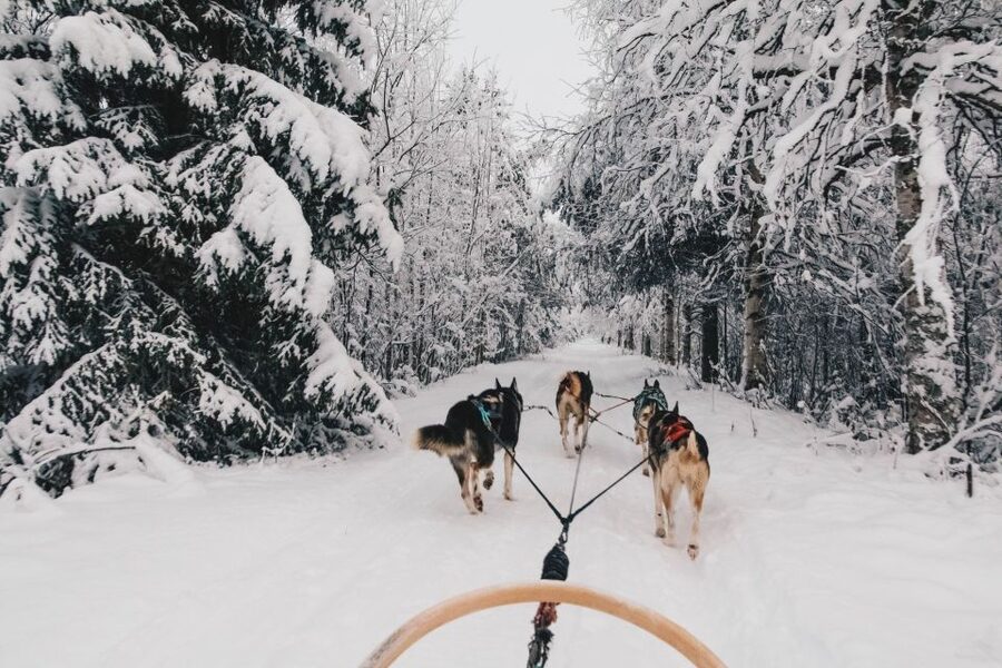 Rovaniemi: Apukka Husky Adventure - Getting from Rovaniemi to Apukka Resort