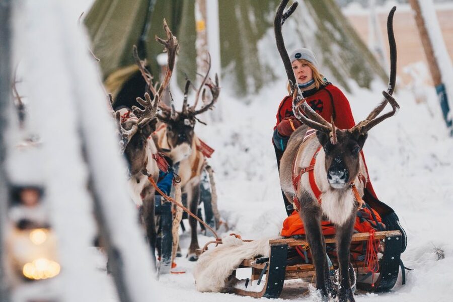 Rovaniemi: Apukka Reindeer Journey - Fire, hot drinks, and stories in the cold