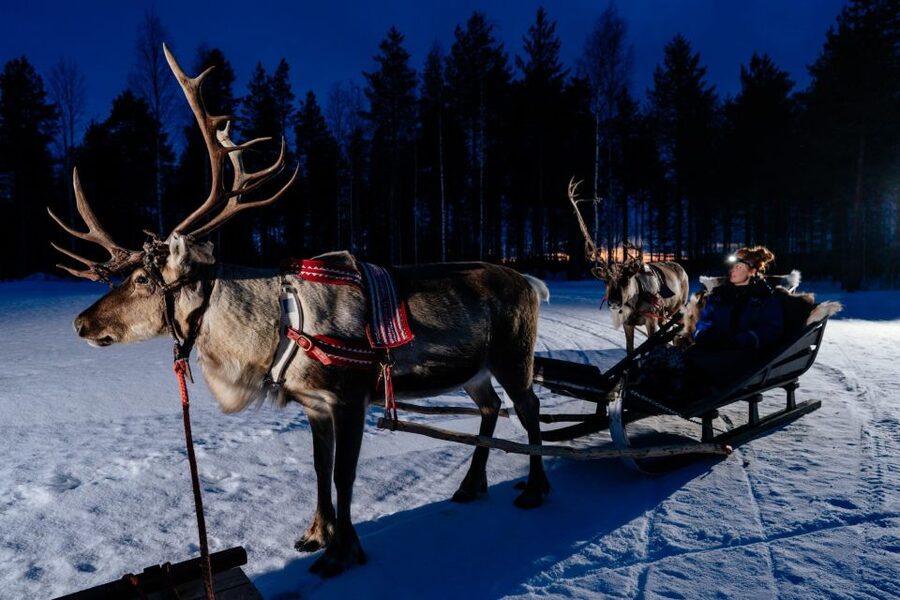 Rovaniemi: Apukka Reindeer Sleigh Ride at Night - Key points to know before you book