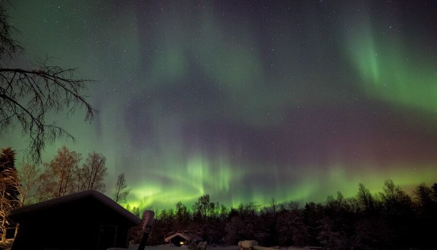 Rovaniemi: Apukka Reindeer Sleigh Ride at Night - Why this three-hour ride feels different