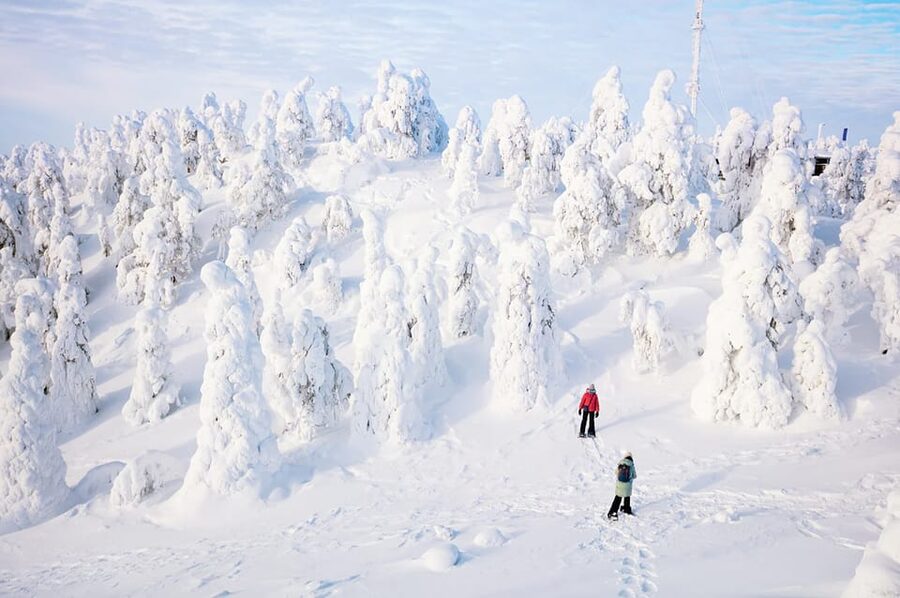 Rovaniemi: Arctic Animals Sleigh Rides and Wildlife Zoo - Who will enjoy this seven-hour day?