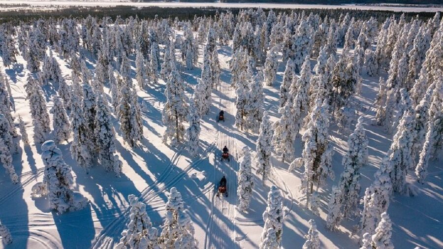 Rovaniemi: Arctic Circle Family-Friendly Snowmobile Tour - Is $293 per person a fair price?