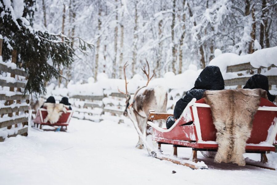 Rovaniemi: Arctic Circle Highlights by Snowmobile - Guides and the feel of the day