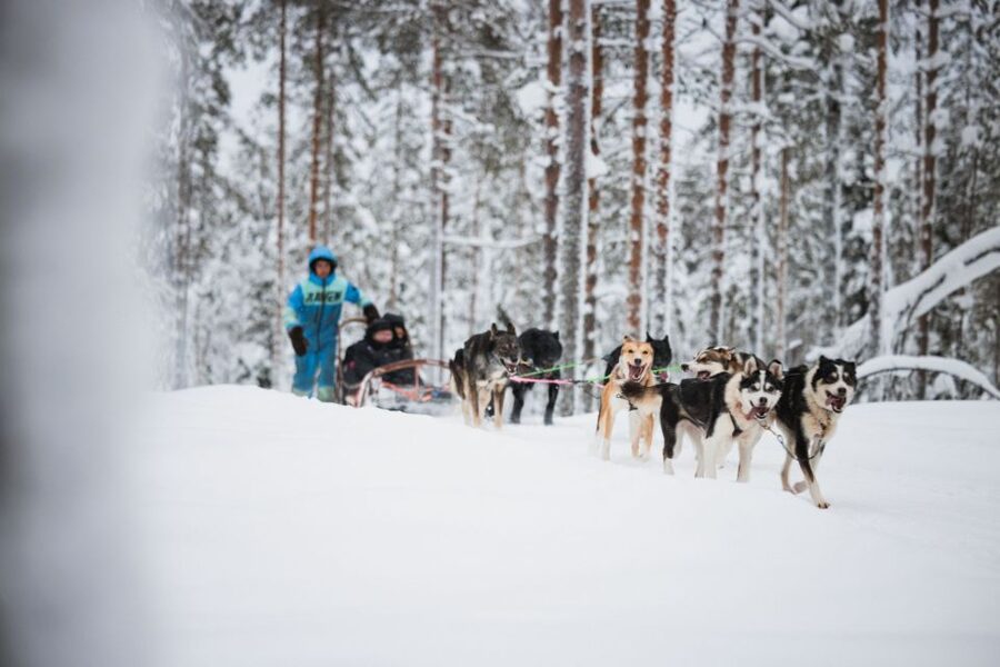 Rovaniemi: Arctic Circle Highlights by Snowmobile - Starting at the Arctic Circle Snowmobile Park