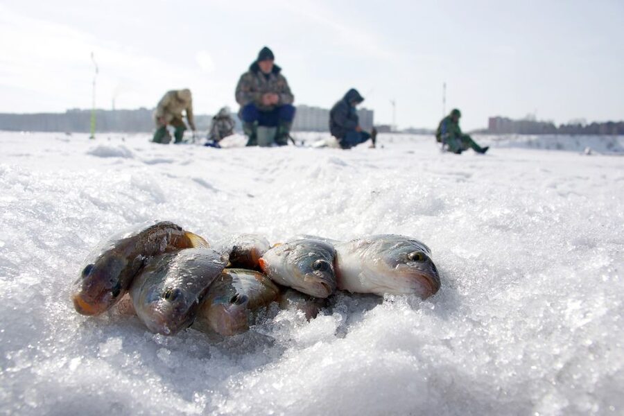 Rovaniemi: Arctic Circle Ice Fishing Experience - Should You Book the Arctic Circle Ice Fishing Experience?