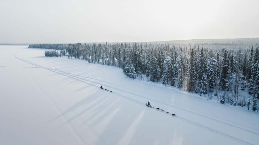 Rovaniemi: Arctic Circle Long Trail Husky Adventure - What the Dog Sled Ride Feels Like