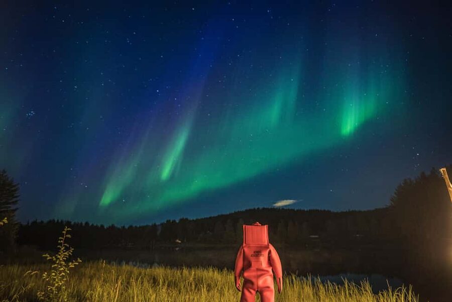 Rovaniemi: Arctic Ice Floating and Northern Lights Tour - Hot Berry Juice, Cookies, and an Open Fire