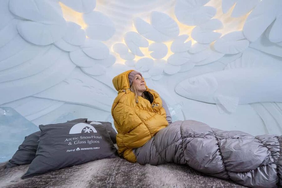 Rovaniemi: Arctic Snow Hotel Tour - Who should book this experience?
