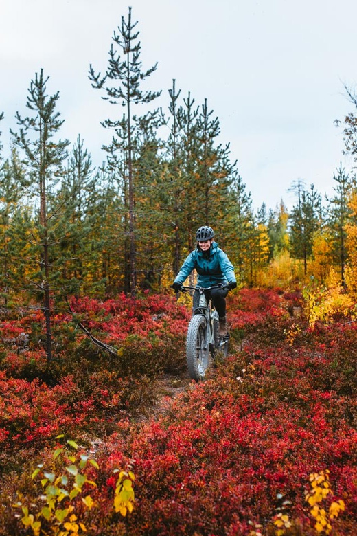 Rovaniemi: Arctic Wilderness & Forests Guided E-Bike Tour - Key points to know before booking