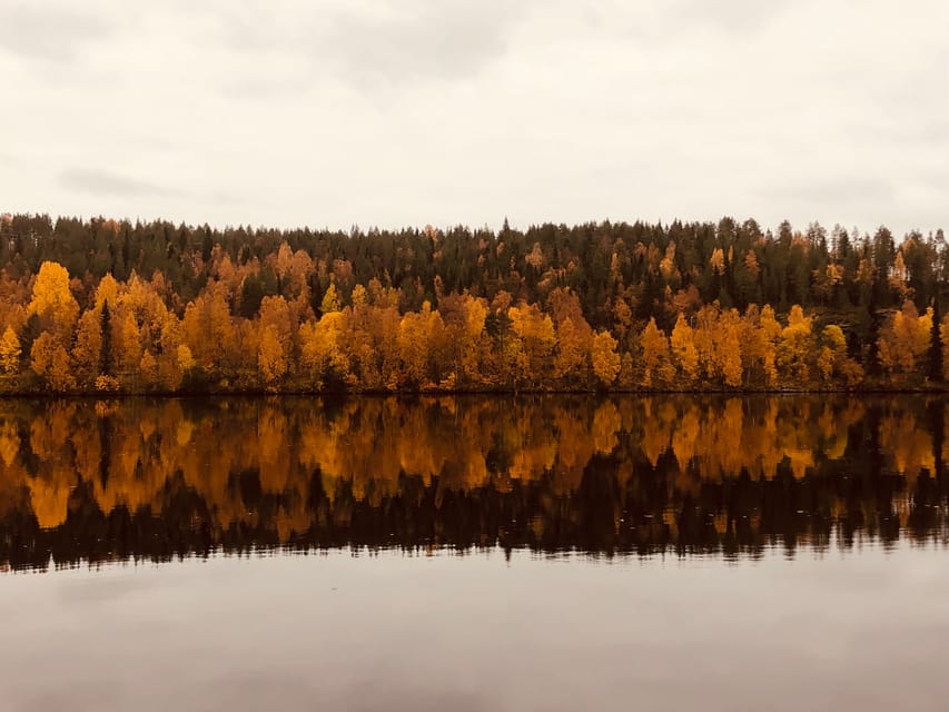 Rovaniemi: Arctic Wilderness & Forests Guided E-Bike Tour - What the $146 price includes