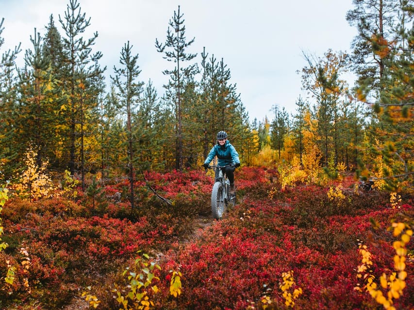 Rovaniemi: Arctic Wilderness & Forests Guided E-Bike Tour - Who should book this ride