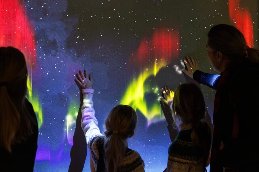 Rovaniemi: Arktikum Science Centre and Museum Entry Ticket - Arctic nature, animals, and the changing seasons