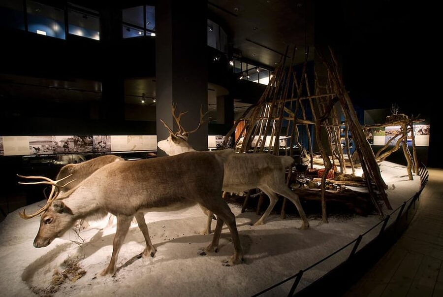 Rovaniemi: Arktikum Science Centre and Museum Entry Ticket - Getting there from central Rovaniemi