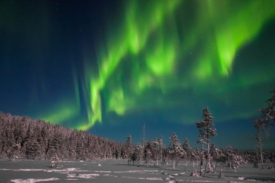 Rovaniemi: Aurora Borealis and Picnic - Is $108 a fair price?