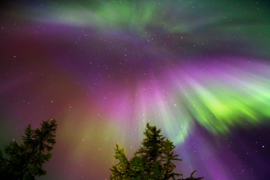Rovaniemi: Aurora Borealis Snowmobile Safari with Campfire - Who should book this night safari?