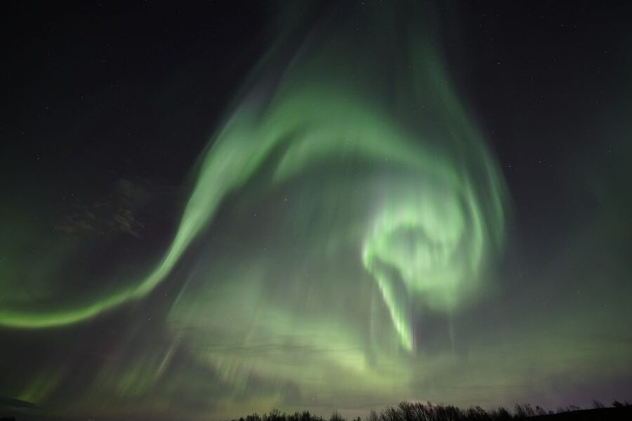 Rovaniemi: Aurora Borealis Tour - What $135 buys you