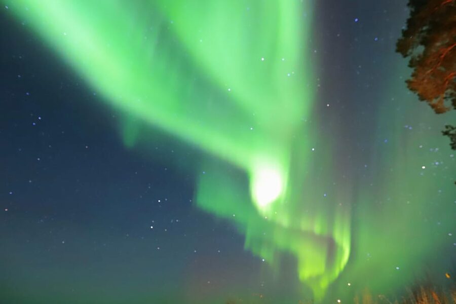 Rovaniemi: Aurora Borealis Trip – Autumn - Sausages, berry juice, and a practical campfire break