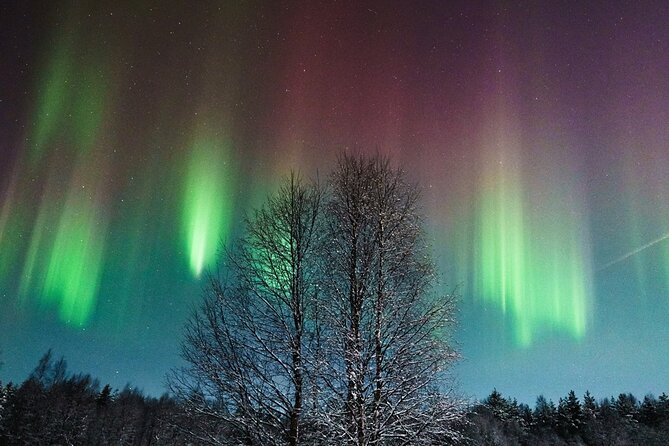 Rovaniemi: Aurora Hunt with Photograph & money back guarantee - Key things to know before booking