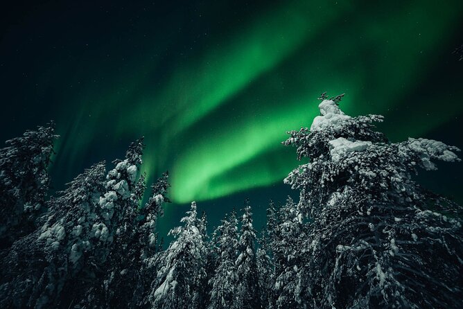 Rovaniemi: Aurora Hunt with Photograph & money back guarantee - Photography that gives you more than a dark-sky snapshot