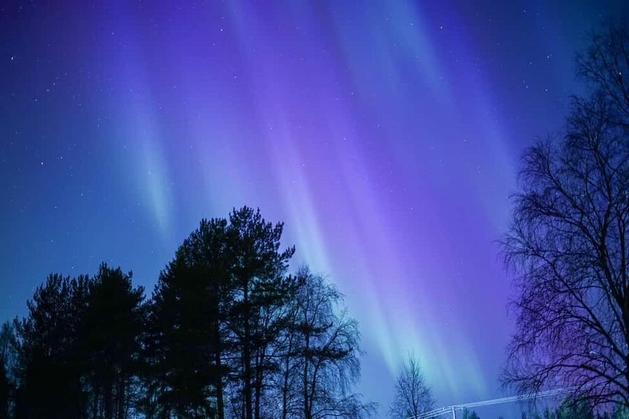Rovaniemi: Aurora hunting and a fireside BBQ experience - Stories, science, and Sami traditions