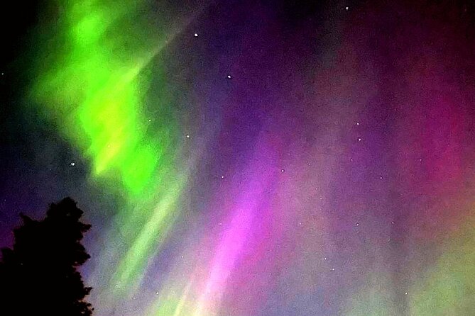 Rovaniemi: Aurora Hunting & Photography Tour - Key points to know before booking