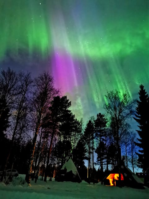 Rovaniemi: Aurora Hunting & Photography Tour - FAQ