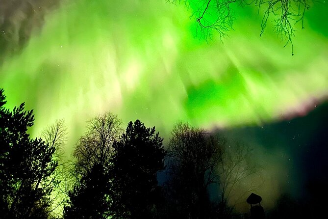 Rovaniemi: Aurora Hunting & Photography Tour - What the five-hour timing really means