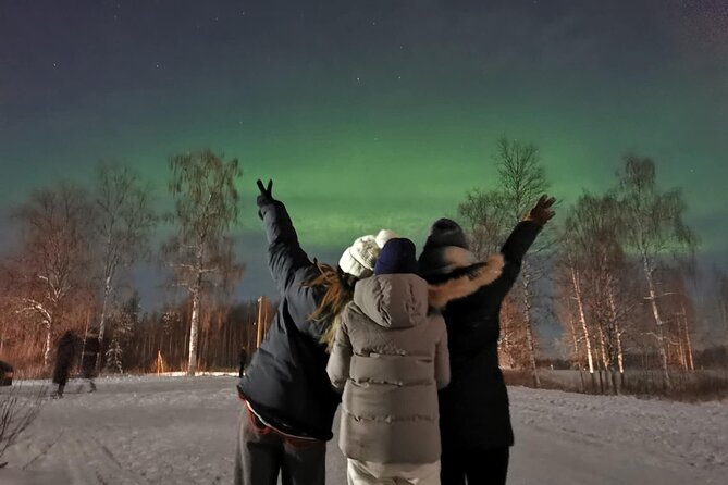 Rovaniemi: Aurora Hunting & Photography Tour - The guides are a major part of the experience