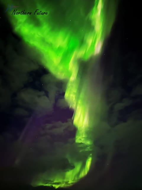 Rovaniemi: Aurora Hunting & Photography Tour - Should you book it?