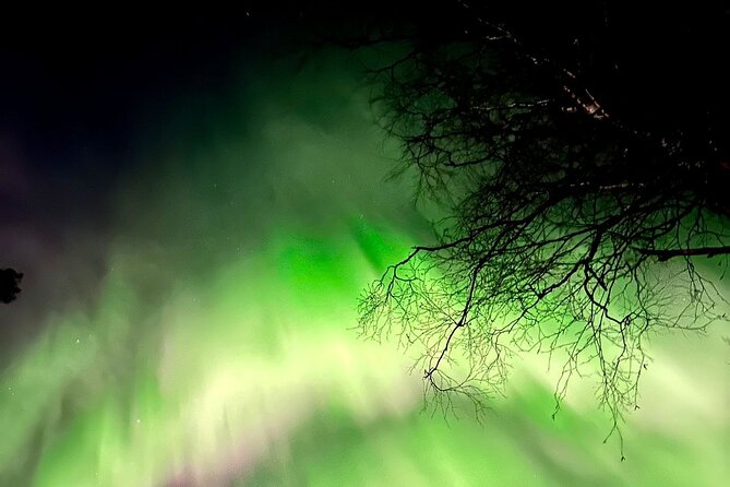 Rovaniemi: Aurora Hunting & Photography Tour - Following the aurora instead of waiting at one place