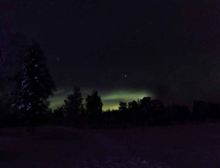 Rovaniemi: Aurora Hunting Tour in the Forest with Hot Drinks - Starting in Rovaniemi or Santa Claus Village