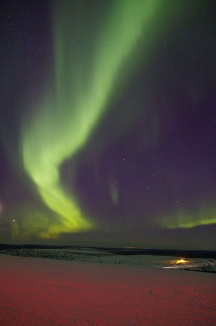 Rovaniemi: Aurora Hunting Tour with Photography by Van - What You Are Really Paying For at $136