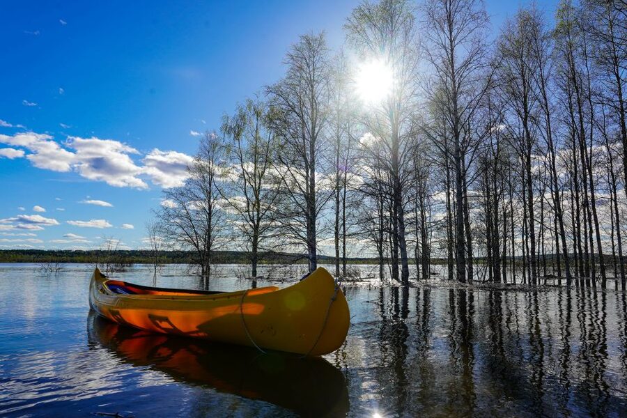 Rovaniemi: Authentic Reindeer Farm & Canoeing - Should you book this Rovaniemi tour?