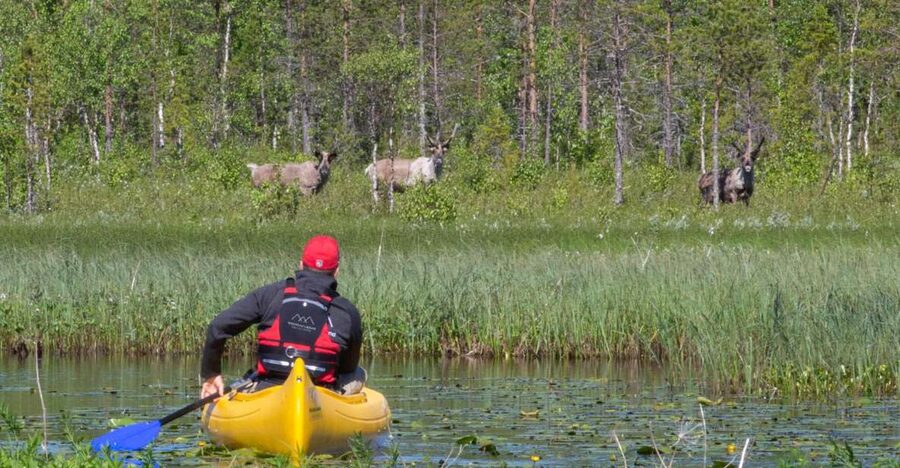 Rovaniemi: Authentic Reindeer Farm & Canoeing - Why this Rovaniemi combination works