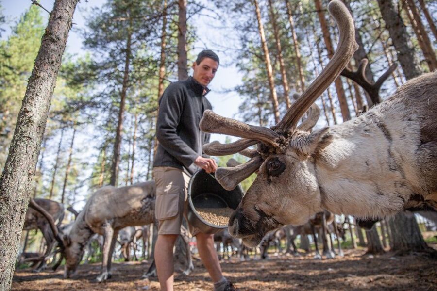 Rovaniemi: Authentic Reindeer Farm & Canoeing - Who will enjoy this experience most?