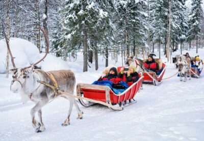 Authentic Reindeer Farm Visit & Short Sleigh Ride