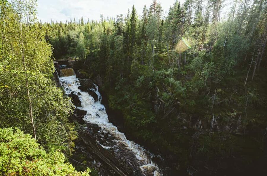 Rovaniemi: Auttiköngäs Waterfalls Hike Tour & Barbeque - What the guide adds to the forest walk